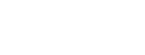 Velocitii Digital logo in white